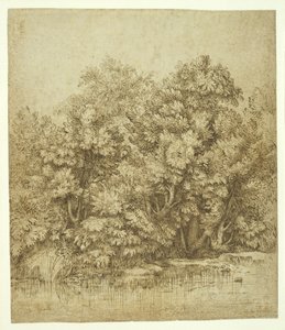 Bomen bij een waterplas, c.1530 door Tiziano Vecelli